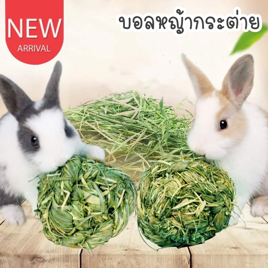 CatHoliday บอลหญ้ากระต่าย ของเล่นกระต่าย ของเล่นสัตว์ฟันแทะ บอลหญ้า