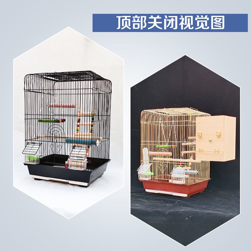 My Image 11