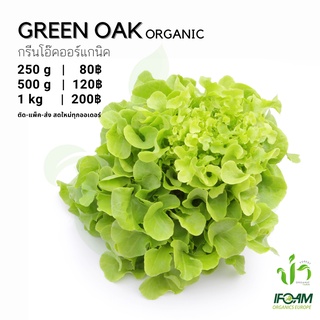 กรีนโอ๊คออร์แกนิค Organic Green Oak มาตรฐานออร์แกนิค IFOAM ผักสลัด ผักสด เก็บ-แพ็ค-ส่ง เก็บใหม่ทุกออเดอร์