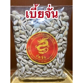 หอยเบี้ย เบี้ยจั่น เบี้ยจั่นหอยเบี้ยคละไซส์ขายยกถุงราคาไม่แพงมีทั้งสีธรรมดาและสีเหลืองนวลเงา