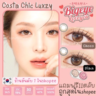 คอนแทคเลนส์ Costa Chic Choco / Black (Luxzylens) ขนาดมินิ 💖 ขายดีมาก🔥