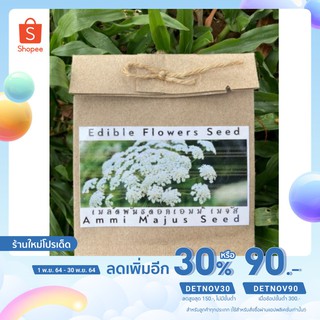 🔥ใส่โค้ด DETNOV เหลือ 23.-🔥เมล็ดพันธ์ุดอกเอมี่เมจัส ดอกไม้กินได้ Ammi Majus seed Edible flowers