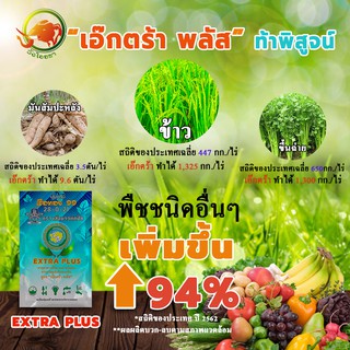 เอ๊กตร้า พลัส ปุ๋ย ฮอร์โมนพื้ช ชุดทดลอง ขนาด 0.125 กรัม จำนวน 1 ซอง