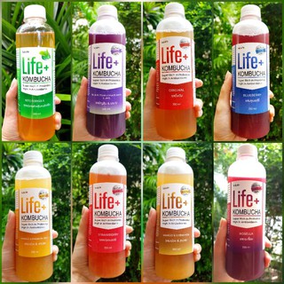 แพค 8 รสชาติ Life+ KOMBUCHA raw organic 330ml คอมบูชา คอมบูชะ ชาหมัก ดีท็อกซ์ โพรไบโอติก คอมบูฉะ probiotic อนุมูลอิสระ