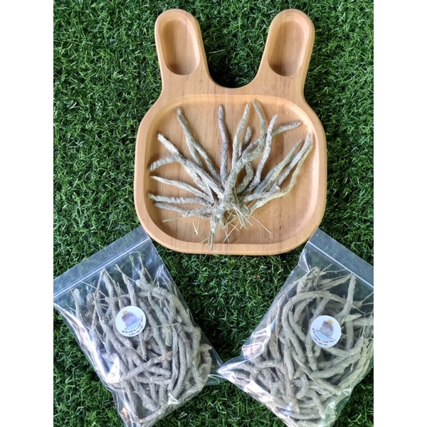 หญ้าทิโมธีดอกล้วน🌱ดอกทิโมธีล้วน🌱หญ้าทิโมธีคัดดอก Timothy Grass Flowers