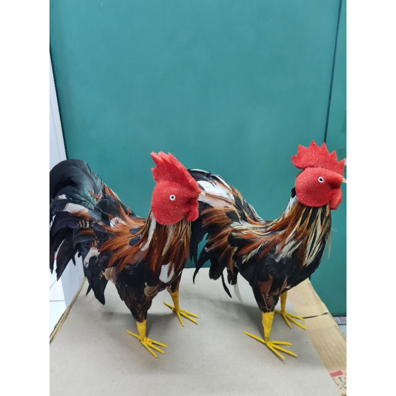 ไก่ชน   สูง  10" ใช้แก้บน ใช้โชว์