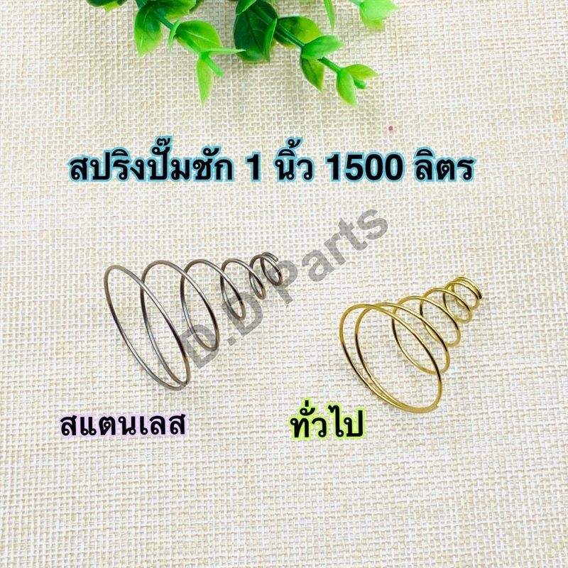 สปริง ปั๊มชัก 1 นิ้ว 1500 ลิตร (สแตนเลส/ทั่วไป)