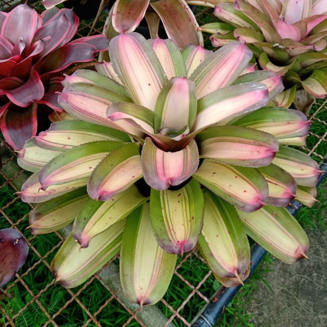 My Image 3