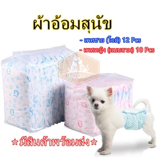 PP A14 ผ้าอ้อมสุนัข ผ้าอ้อมน้องหมา ผ้าอ้อมสัตว์เลี้ยง ชาย หญิง แพมเพิสสุนัข ผ้าอนามัยสุนัข Dog Diaper