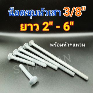 น็อตชุบ 3/8" 3 หุล 1 ชุด หัวกลม เสาบ้าน HDG กัลวาไนท์ กัมมาไน น๊อต เรือ ทะเล เกลือ แข็ง ไม้ จีน หุน น็อตจีน H.D.G.