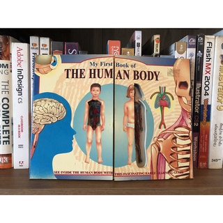 หนังสือมือสอง My First Book of THE HUM AN BODY