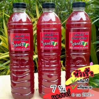 หัวเชื้อจุลินทรีย์สังเคราะห์แสง PSB ขนาด 600ml ++6 ขวด 200บาท