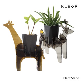 KlearObject  Plant Stand ที่วางกระถาง ที่วางอะคริลิค แบบ knockdown : K537-K538