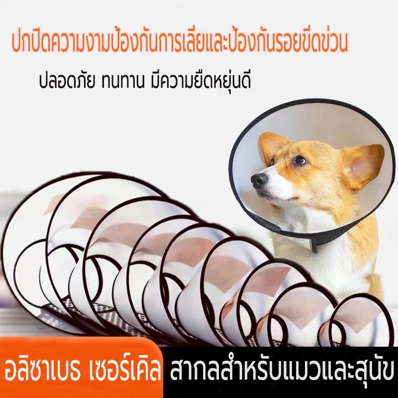 ðķāļāļāļĨāļĨāđāļēāļĢāđ āļāļāļĨāļĨāđāļē āļāļĨāļāļāļāļāļāļąāļāđāļĨāļĩāļĒ āļāļĨāļēāļŠāļāļīāļ āļāļāļĨāļĨāđāļēāđāļĄāļ§ āļāļĨāļāļāļāļāļŦāļĄāļē āļāļĨāļāļāļāļāđāļĄāļ§ Pet Collarðą