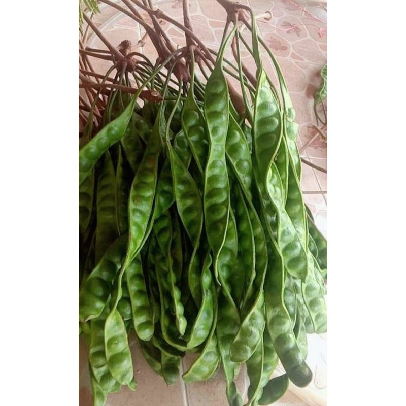 พร้อม​ส่ง, สะตอราคาถูกๆ ฝักสวยๆ คัดมาโดยเฉพาะ✌️