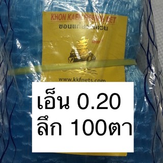 0.20 ลึก 100 ตา ข่ายเอ็นต่อแห