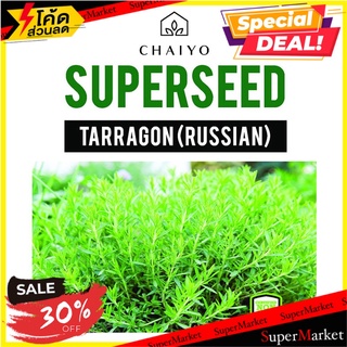 เมล็ดพันธุ์ทาร์รากอน ชัยโย 320 เมล็ด เมล็ดพันธุ์ TARRAGON (RUSSIAN) 320 SEEDS ต้นไม้และเมล็ดพันธุ์