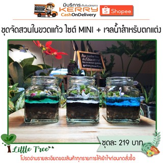 ชุดจัดสวนขวดแก้ว MINI DIY พร้อมเจลทำธารน้ำตกแต่งอุปกรณ์ครบเซ็ท