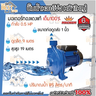 MACNUM ปั๊มน้ำหอยโข่ง หน้าใหญ่ รุ่น MNP50 ขนาด 1" x 1" x 0.5 HP ปั๊มหอยโข่งไฟฟ้า ปั๊มน้ำ ปั้มน้ำ ปั๊มหอยโข่ง ปั๊มไฟฟ้า