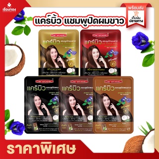 RTพร้อมส่ง แชมพูปิดผมขาว สีย้อมผม แชมพูย้อมผม 6สี แคร์บิว Carebeau 30m lแชมพูเปลี่ยนสีผม เปลี่ยนสีผม น้ำยาเปลี่ยนสีผม