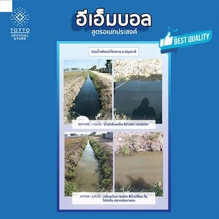 อีเอ็มบอลโต๊ตโตะ สูตรอเนกประสงค์ บำบัดน้ำ กำจัดกลิ่น บรรจุ 30 ลูก