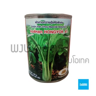 เมล็ดพันธุ์ผักกาดกวางตุ้งคัดพิเศษ หงส์หยก A1 ตราภูเขาทอง 100กรัม pak choi เมล็ดพันธุ์ผัก พงษ์เกษตรอุตรดิตถ์