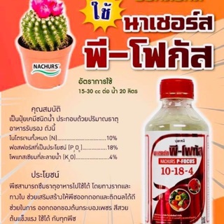 นาเชอร์ พี-โฟกัส 10-18-4 ปุ๋ยน้ำ ขนาด 1 ลิตร ช่วยให้ต้นกระบองเพชร ออกดอกดี