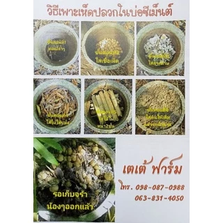 เชื้อเห็ดโคลน หรือเห็ดปลวก.ชนิตผงแห้ง..สุตรเข้มข้น