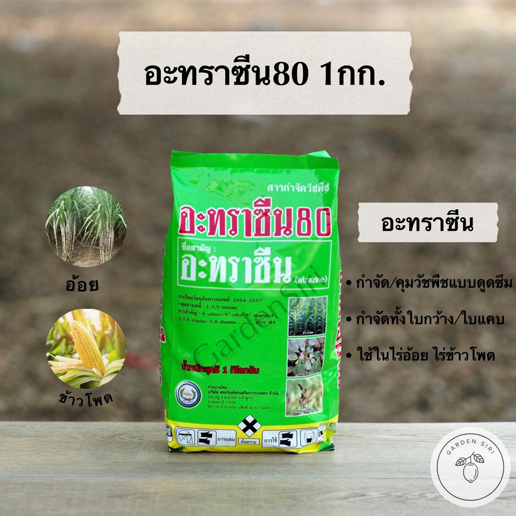 อะทราซีน80 (ชนิดผง) สารคุม กำจัดหญ้าวัชพืชในไร่อ้อย ข้าวโพด ข้าวฟ่าง สัปปะรด ตราหวีทอง ขนาด 1กก.