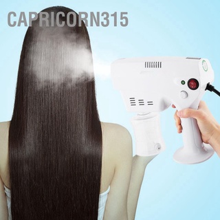 Capricorn315 Blue Light Nano Anion Sprayer Oil Treatment Hair Care Machine for Home Beauty EU Plug 220-240V