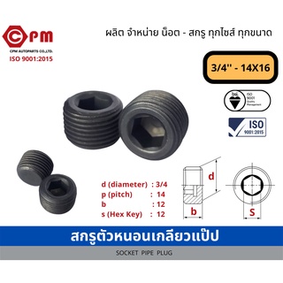 สกรูตัวหนอน เกลียวแป๊ป 3/4 - 14x16 [SOCKET PIPE PLUG]