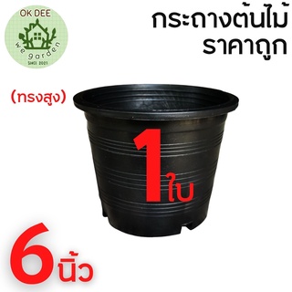 ราคาโรงงาน 80ใบ กระถางพลาสติก ขนาด6นิ้ว กระถางต้นไม้ 6 นิ้ว สีดำ