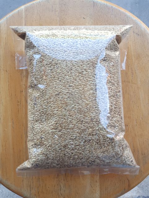 ข้าวไรย์ (Canary Seed) บำรุงขนให้สวยงาม นกเขากินดี นกพิราบกินได้800g