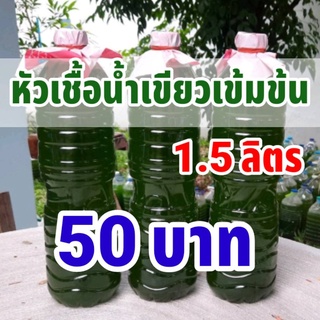 หัวเชื้อน้ำเขียวเข้มข้น (สาหร่ายคลอเรลล่า) ขนาด 1.5L สำหรับเลี้ยงไรแดง พร้อมคลิปสอนอย่างละเอียด