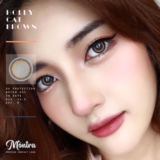 holly cat brown รุ่นตาฟิลเตอร์ไอจีตาละมุน สีบราว