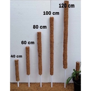 เสาไม้เลื้อย หลักไม้เลื้อย ใยมะพร้าว ราคาถูก  แถมฟรี ‼️สายเคเบิ้ลไทร์