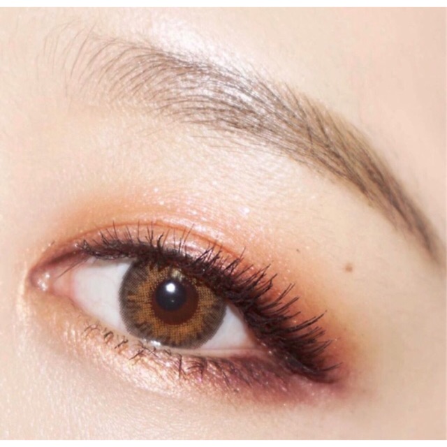 protrendcolor Naughty brown