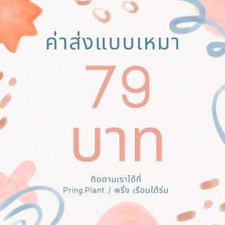 โปรค่าส่งต้นไม้ 79 บาท