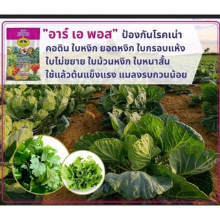 ปุ๋ยเคมี ธาตุอาหารรอง อาร์ เอ พอส นน.500 กรัม