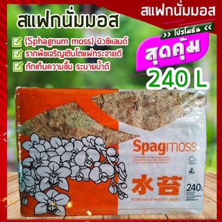 สแฟกนั่มมอส​นิวซีแลนด์ 240 ลิตร 3 กิโล🍃(Sphagnum moss) สแฟกนั่มมอสคุณภาพดี เพิ่มความชื้นให้ต้นไม้ ชำราก