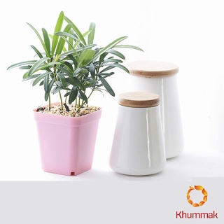 Khummak กระถางต้นไม้พลาสติก พร้อมถาดรอง กระถางขนาดเล็ก  Plastic flowerpot