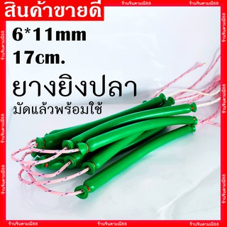 ยางยิงปลา มัดสำเร็จ 6x11mm 5x13mm 6x14mm ยาว 17 cm.(ราคาต่อคู่) ยางคู่