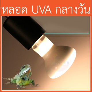 [UVA กลางวัน ]หลอดไฟให้ความร้อน หลอด UVA สำหรับสัตว์เลื่อยคลาน กลางวัน