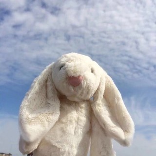 ☽✼♠Bonnie Bunny ins wind lop-eared rabbit plush toy cute bunny Soothing Doll Doll for Girls  Day Gift