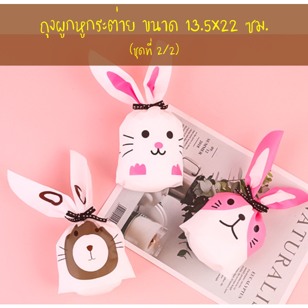 ถุงผูกหูกระต่าย ขนาด 13.5x22 ซม. แพ็คละ 47-50 ใบ (ชุดที่ 2/2)