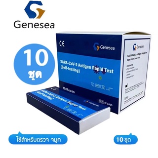 Genesea ชุดตรวจโควิด ชุดตรวจATKAntigen Test Kit 2in1 ตรวจได้ทั้งจมูกและน้ำลาย มีอย.ไทย