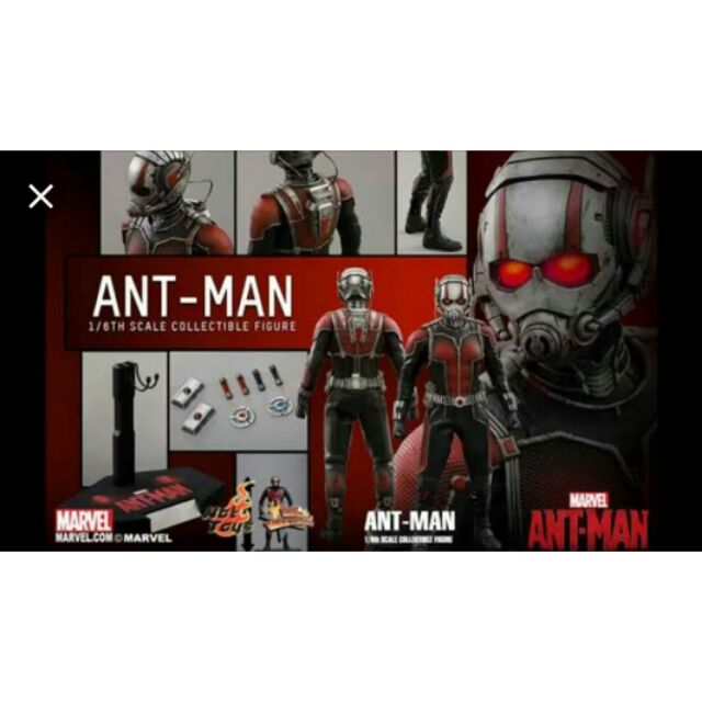Hot  toys  Ant-Man 1/6