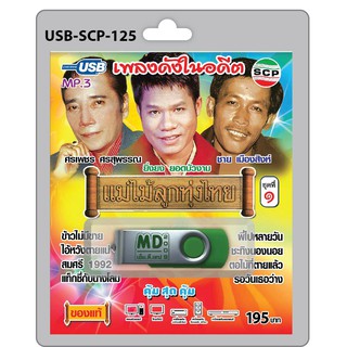 MP3 Flashdrive เสียง เพลงดังในอดีต แม่ไม้ลูกทุ่งไทย ชุด 1