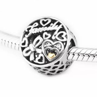 ลดราคา Family Tribute Silver Charm พร้อมส่ง