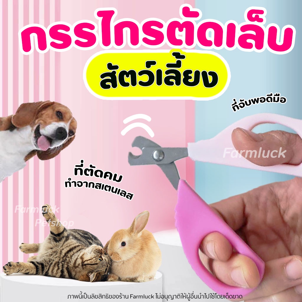 กรรไกรตัดเล็บ สัตว์เลี้ยง แมว สุนัข กระต่าย หนูตะเภา หรือสัตว์เลี้ยงขนาดเล็ก อื่นๆ อุปกรณ์ตัดเล็บ